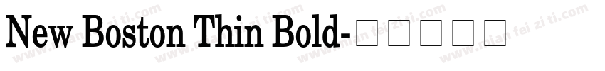 New Boston Thin Bold字体转换